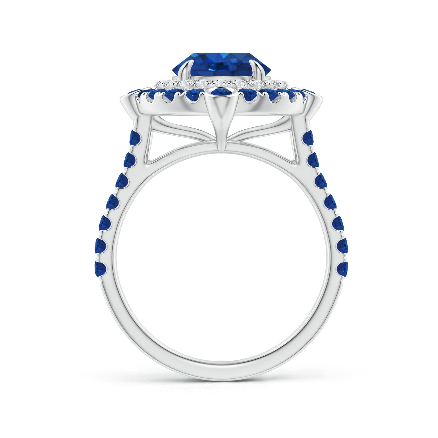 AAA - Blue Sapphire / 3.22 CT / 14 KT White Gold