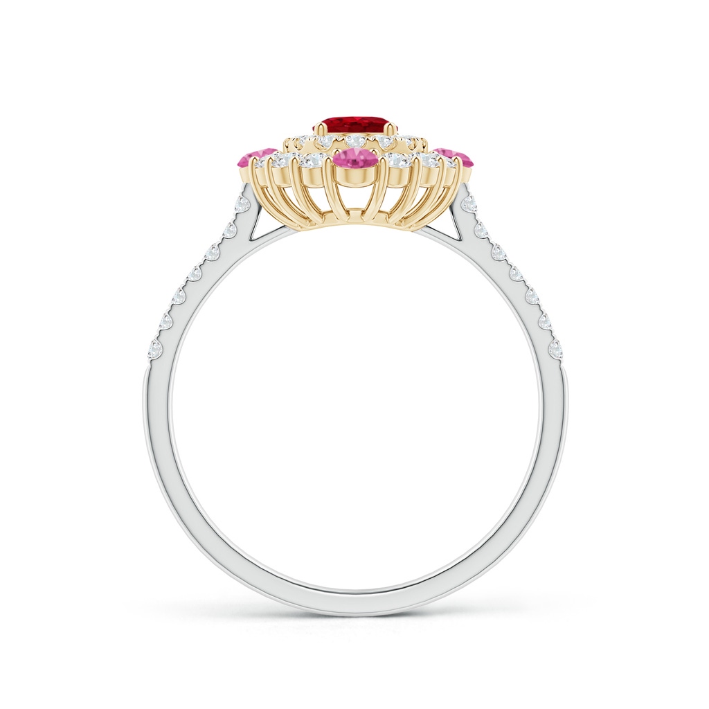 6x4mm AAA Oval Ruby Double Halo Two Tone Ring with Pink Sapphire in White Gold Yellow Gold Side 1