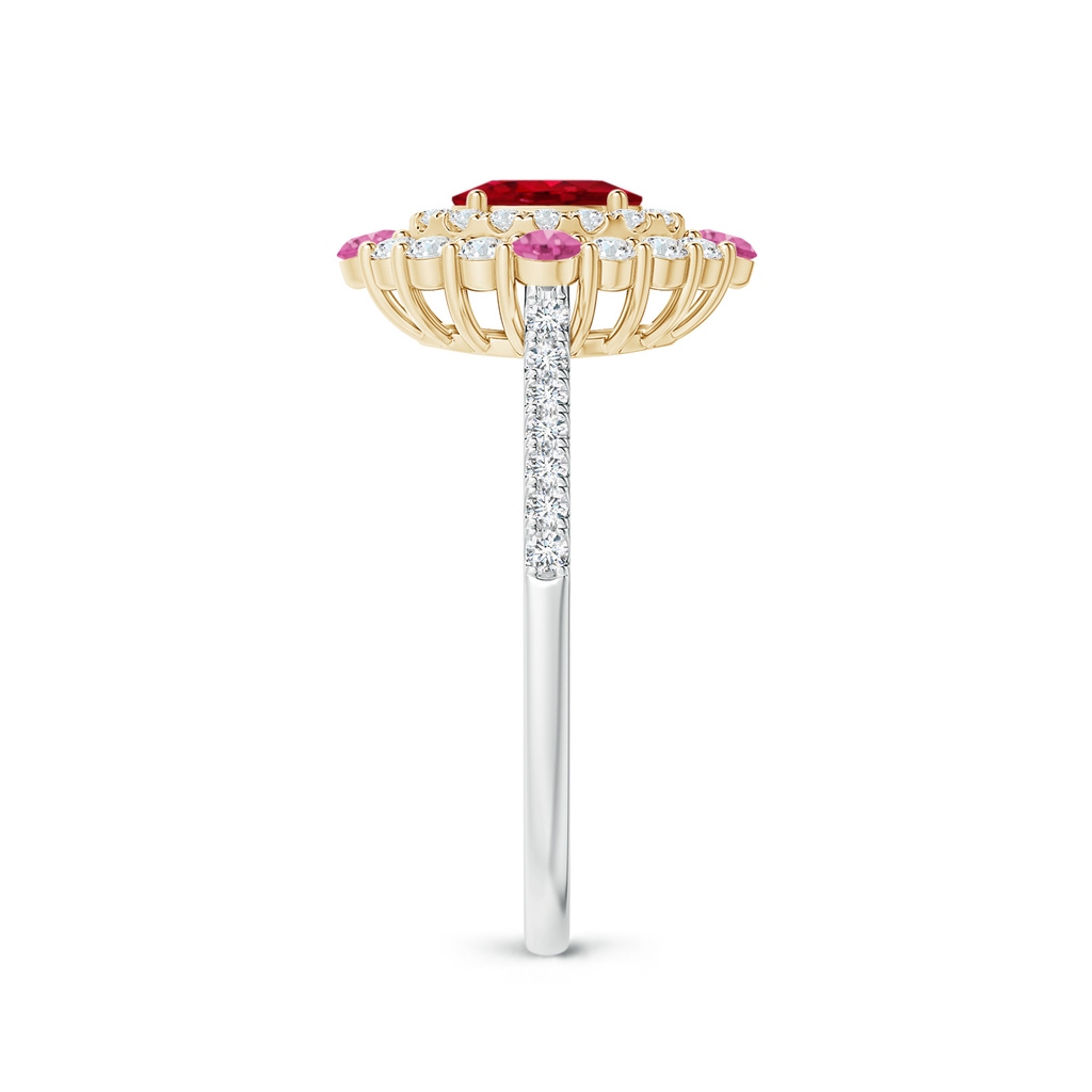 6x4mm AAA Oval Ruby Double Halo Two Tone Ring with Pink Sapphire in White Gold Yellow Gold Side 2