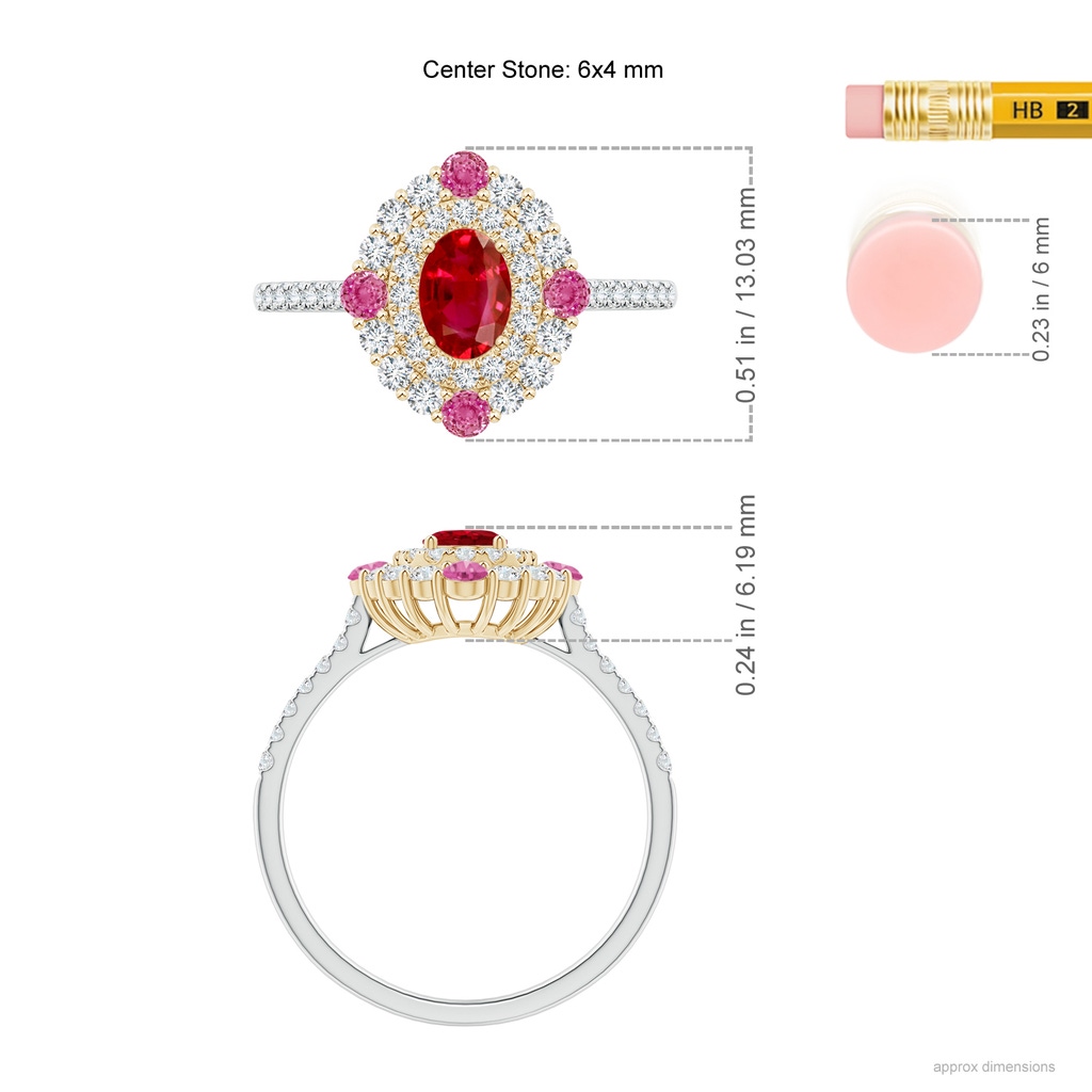 6x4mm AAA Oval Ruby Double Halo Two Tone Ring with Pink Sapphire in White Gold Yellow Gold Ruler
