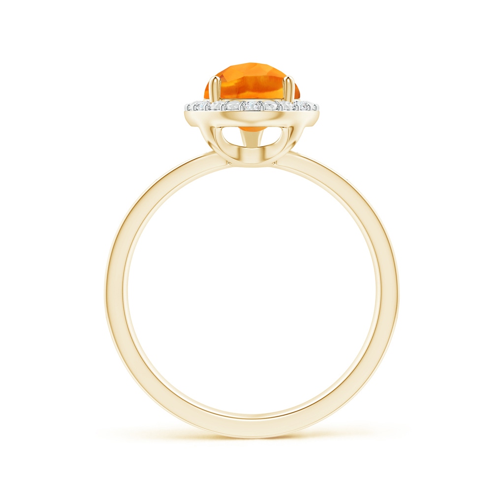 10x7mm AAA Prong-Set Pear-Shaped Citrine Ring with Beaded Halo in Yellow Gold Side-1