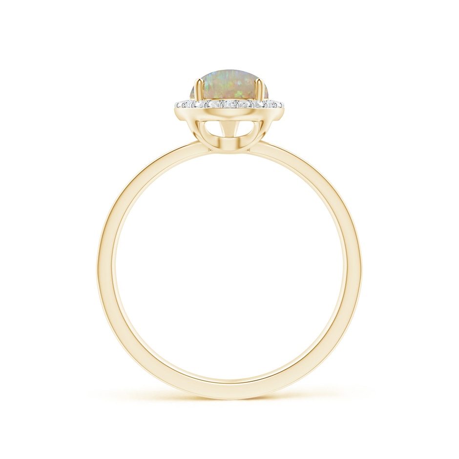 9x6mm AAAA Prong-Set Pear-Shaped Opal Ring with Beaded Halo in Yellow Gold side-1