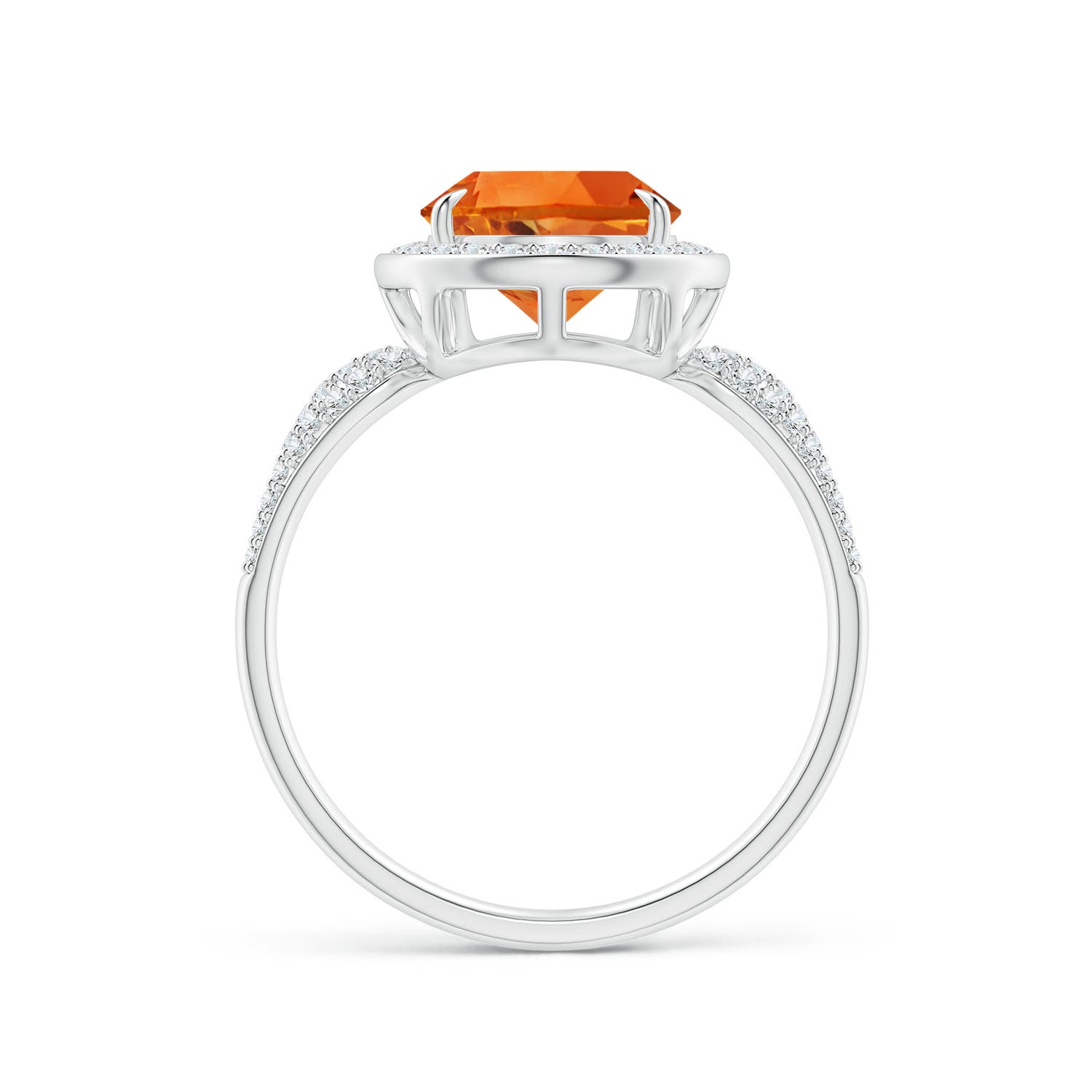 AAAA - Citrine / 2.82 CT / 14 KT White Gold