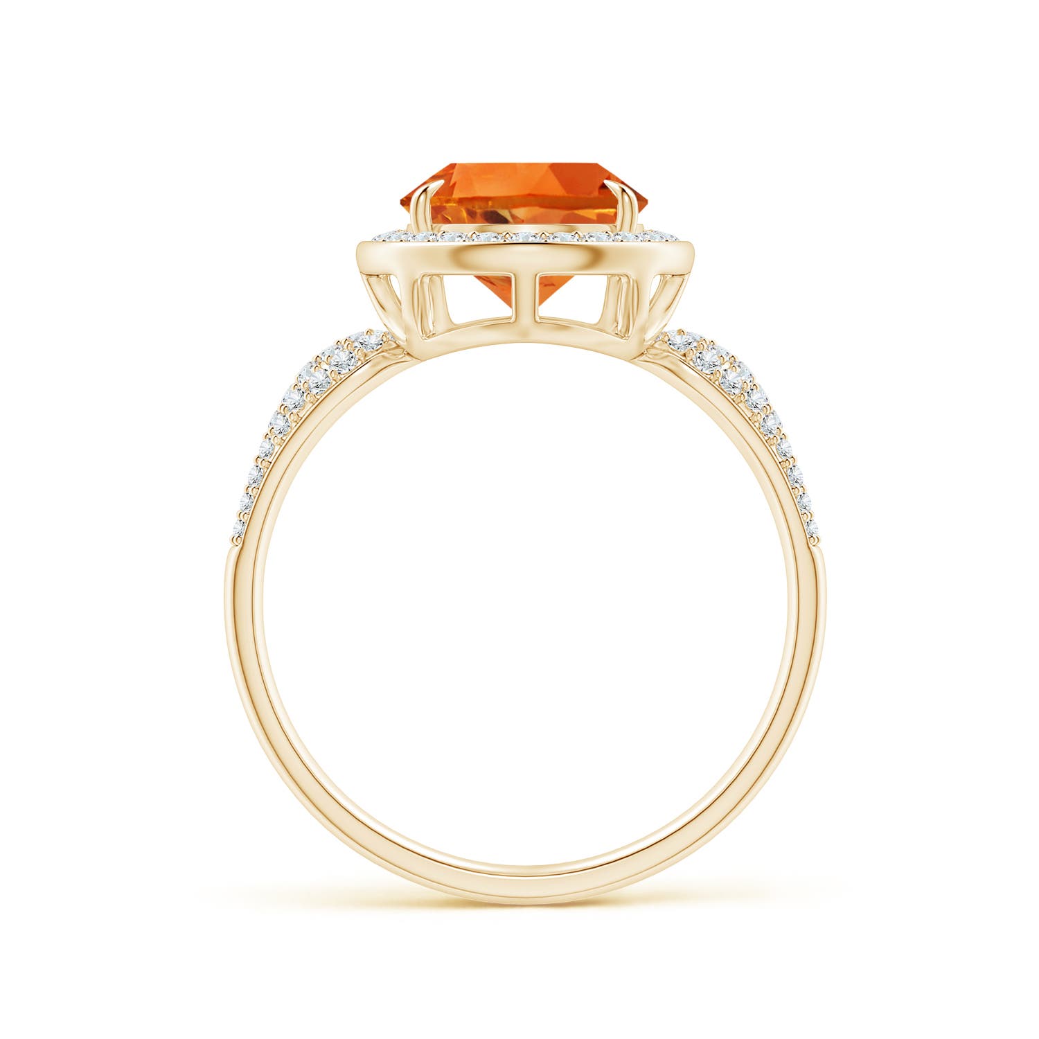 AAAA - Citrine / 2.82 CT / 14 KT Yellow Gold