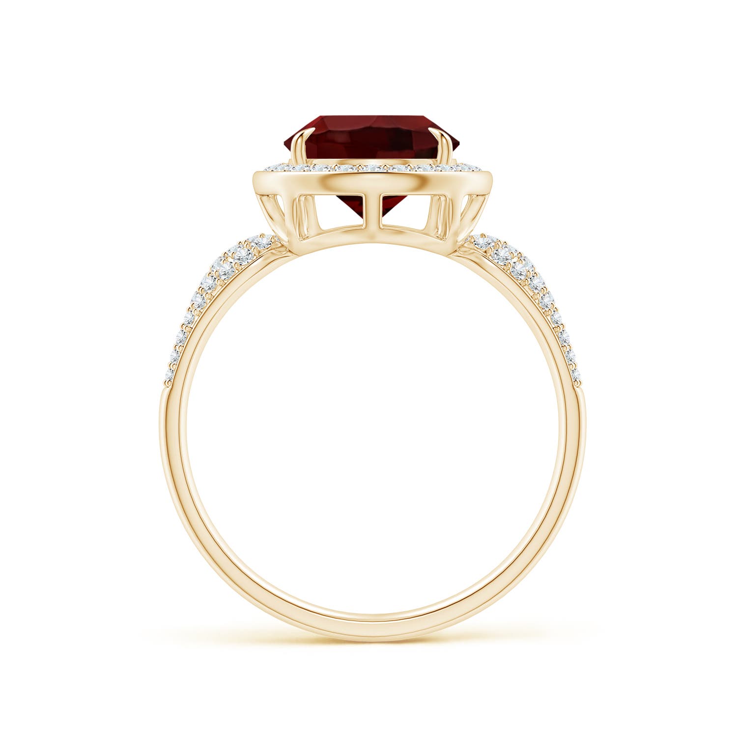 AAA - Garnet / 3.97 CT / 14 KT Yellow Gold