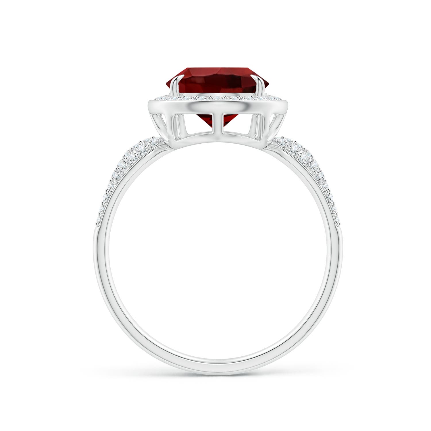 AAAA - Garnet / 3.97 CT / 14 KT White Gold