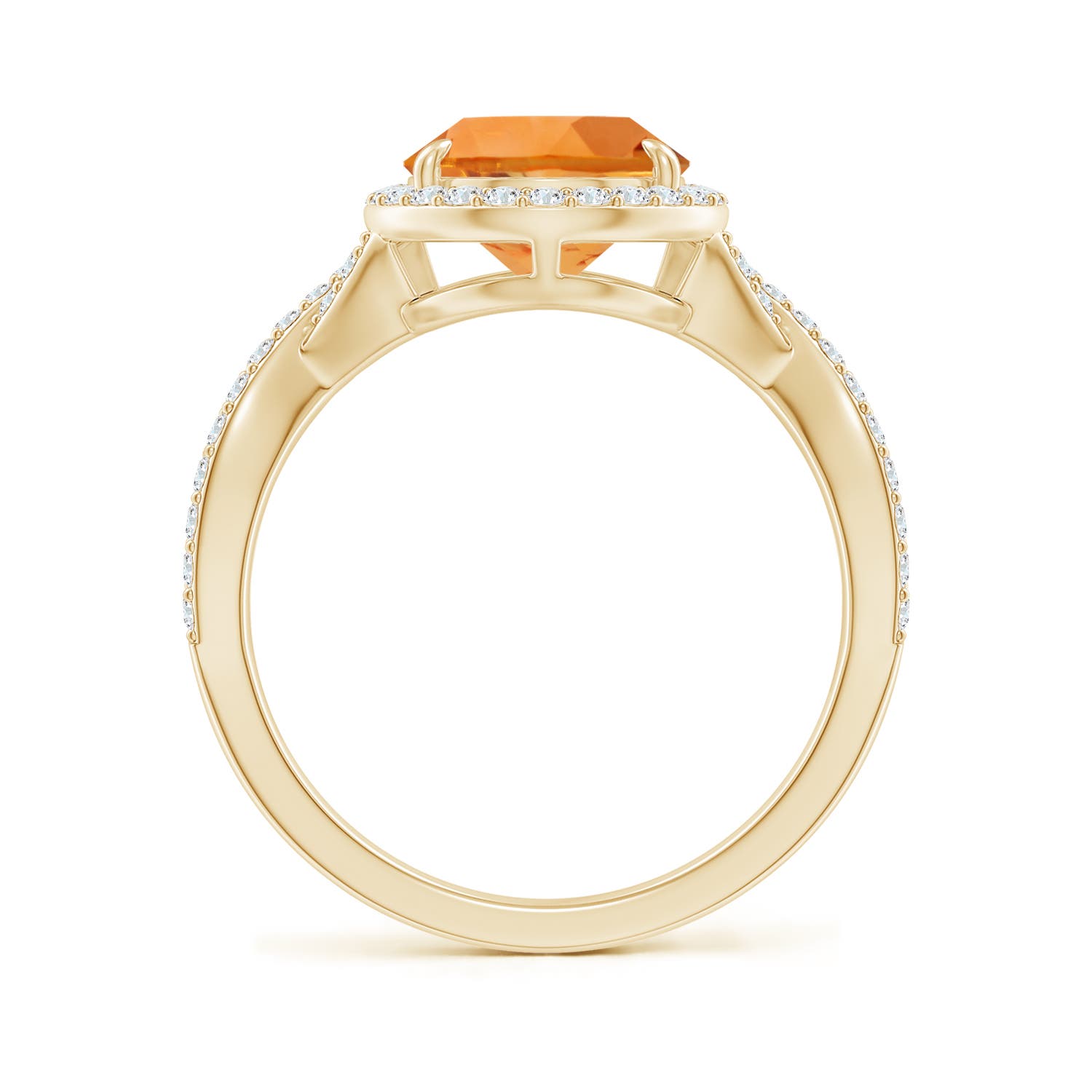 AAA - Citrine / 2.75 CT / 14 KT Yellow Gold