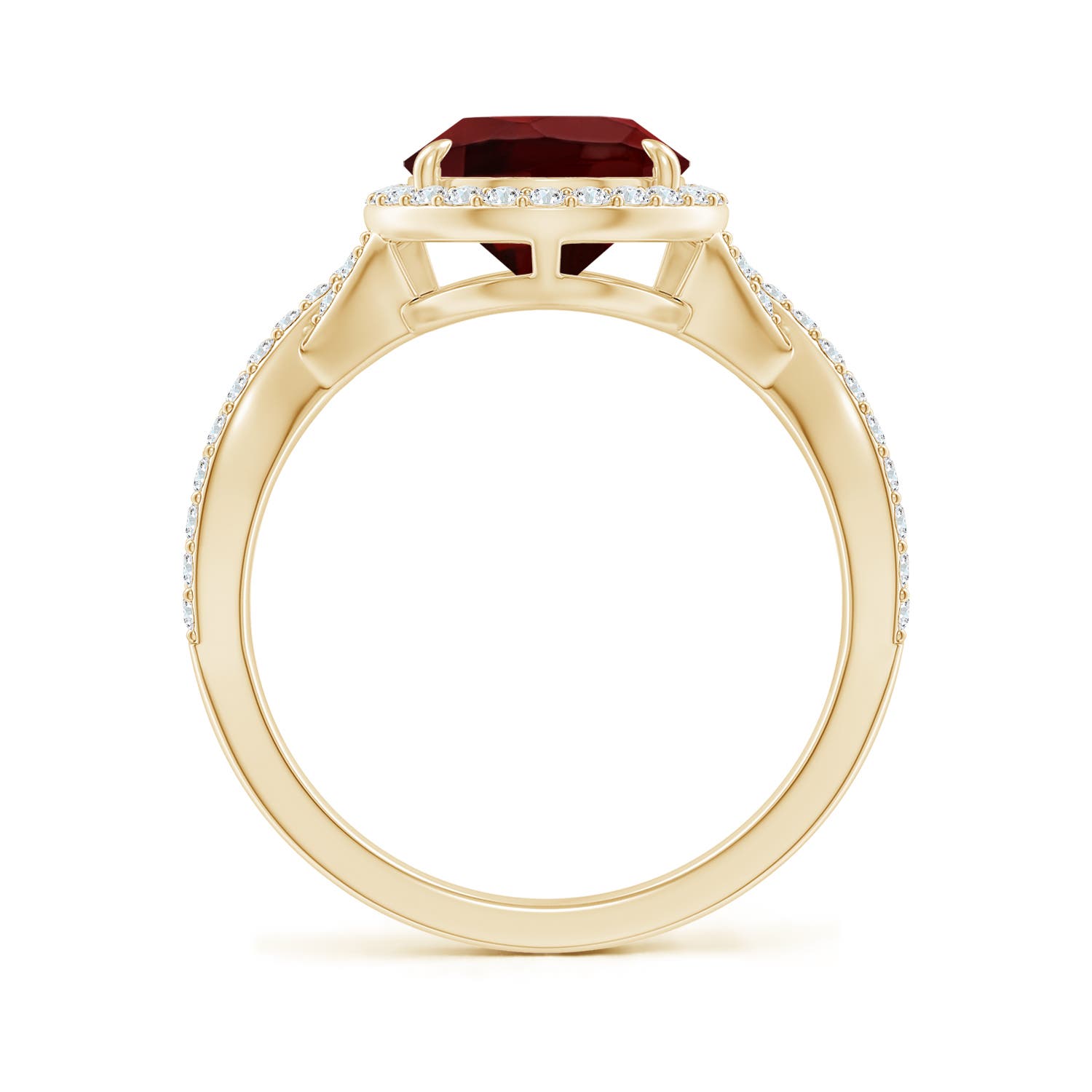 AAA - Garnet / 3.9 CT / 14 KT Yellow Gold