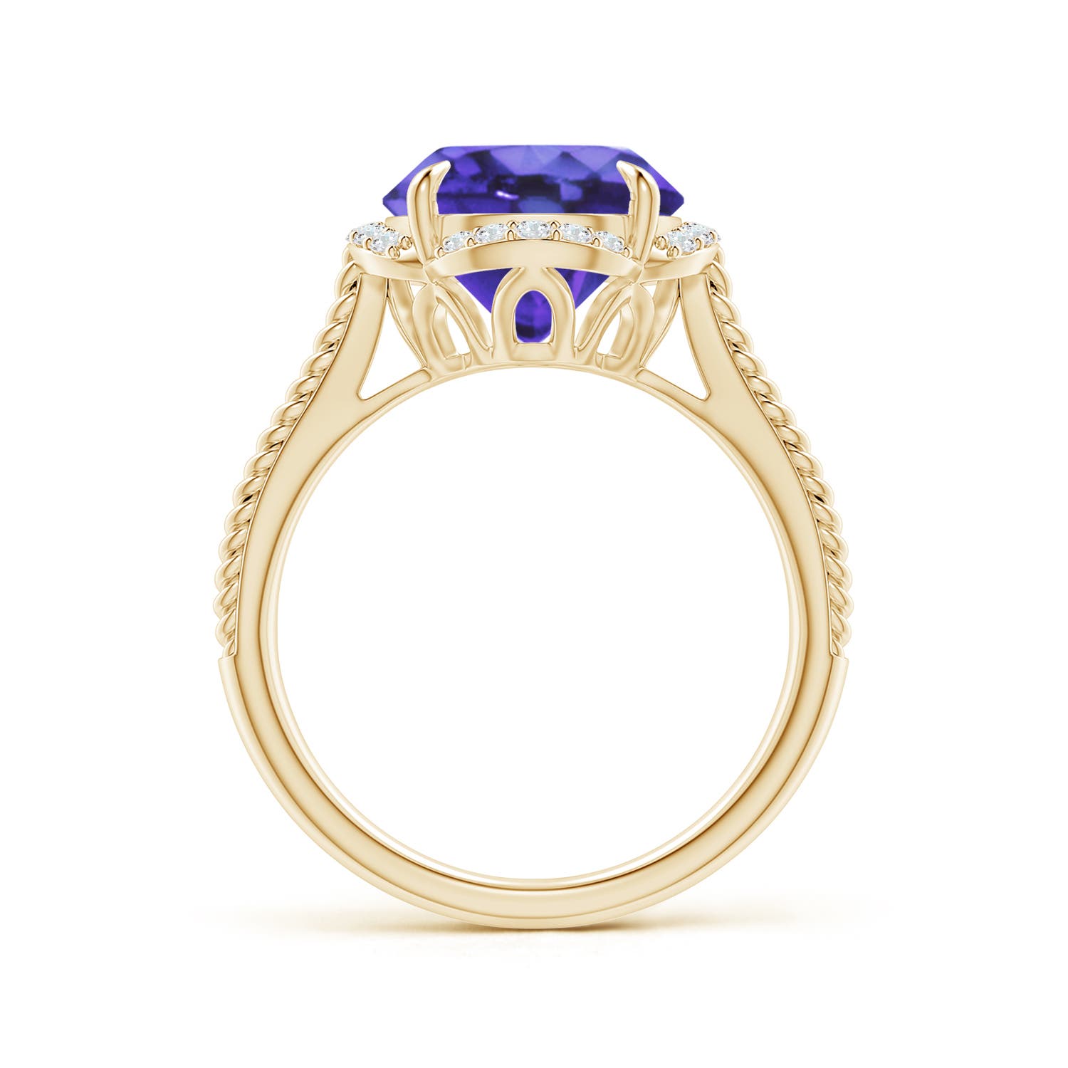 AA - Tanzanite / 3.65 CT / 14 KT Yellow Gold