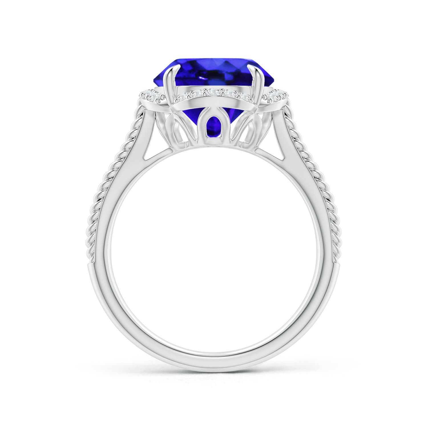 AAA - Tanzanite / 3.65 CT / 14 KT White Gold