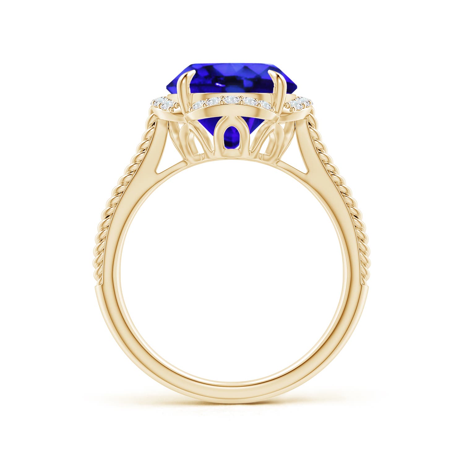 AAA - Tanzanite / 3.65 CT / 14 KT Yellow Gold