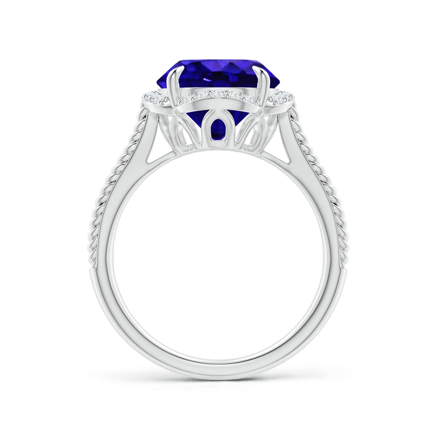 AAAA - Tanzanite / 3.65 CT / 14 KT White Gold