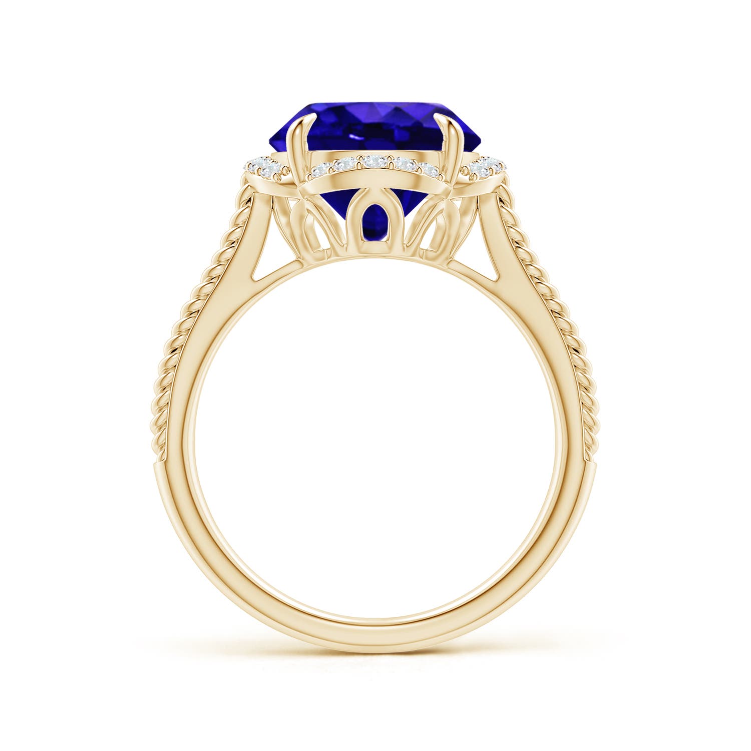 AAAA - Tanzanite / 3.65 CT / 14 KT Yellow Gold