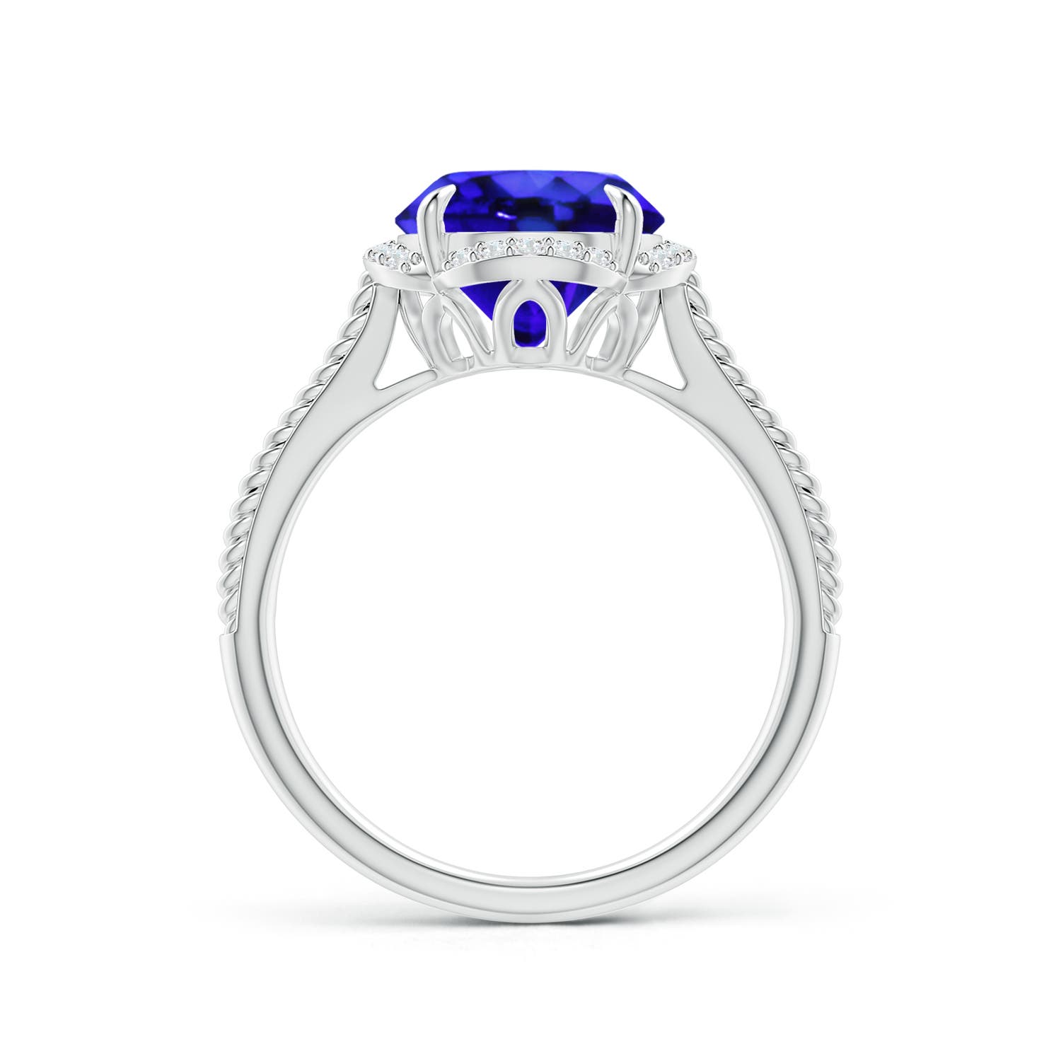 AAA - Tanzanite / 2.52 CT / 14 KT White Gold