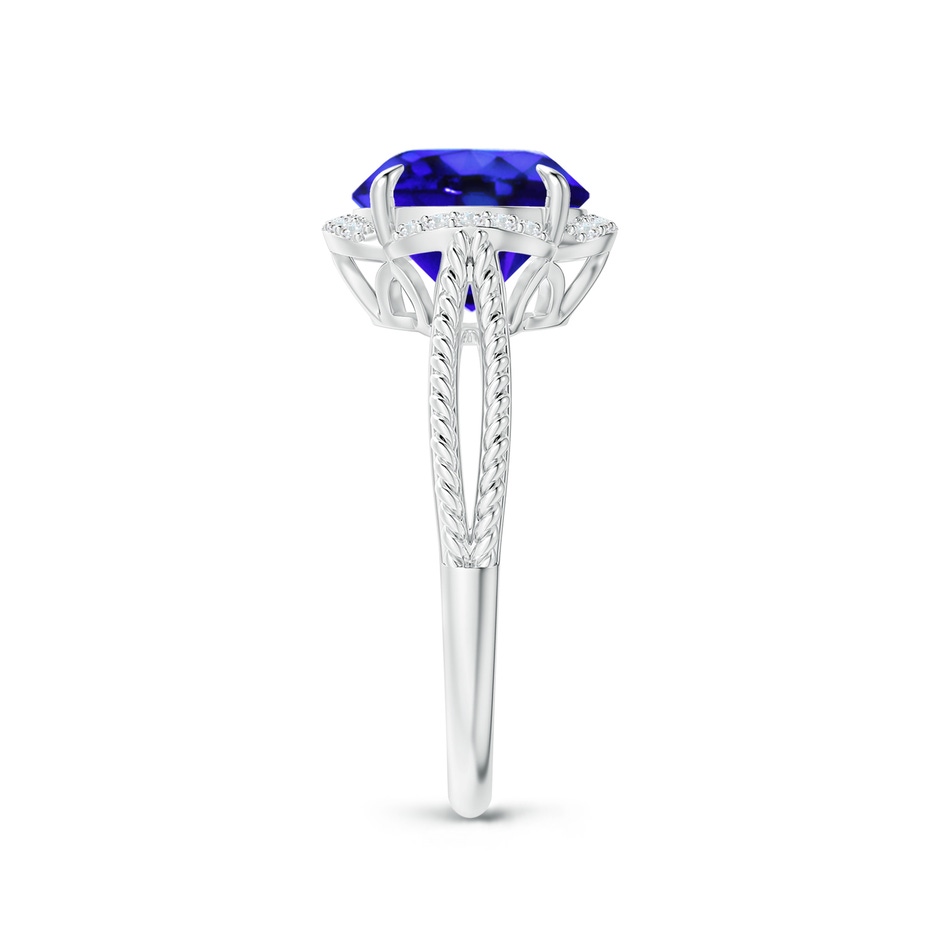 9mm AAA Round Tanzanite Rope Pattern Split Shank Cocktail Ring in White Gold side 2