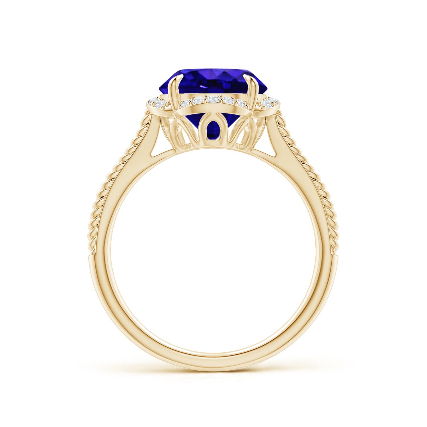 AAAA - Tanzanite / 2.52 CT / 14 KT Yellow Gold