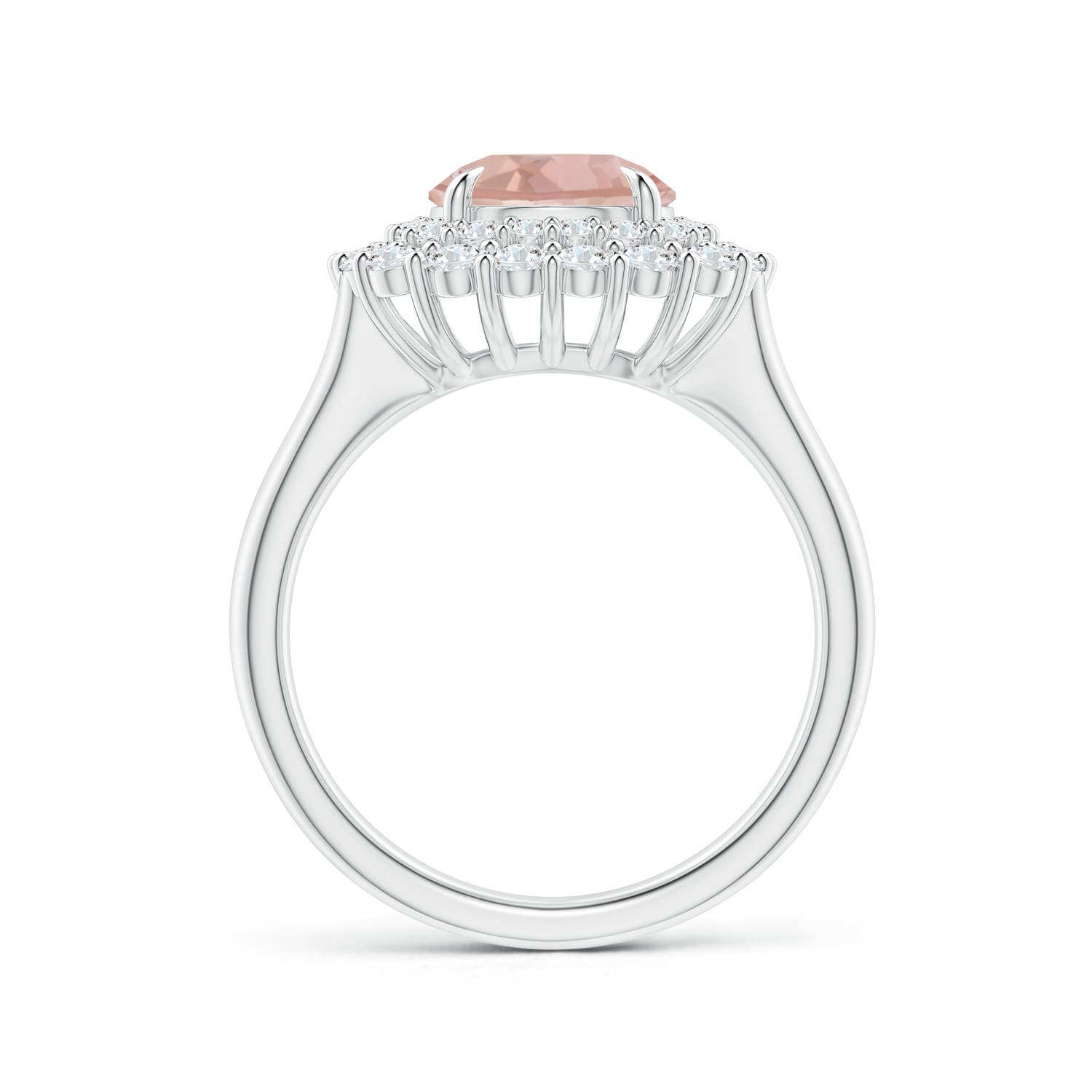 AAA - Morganite / 2.52 CT / 14 KT White Gold