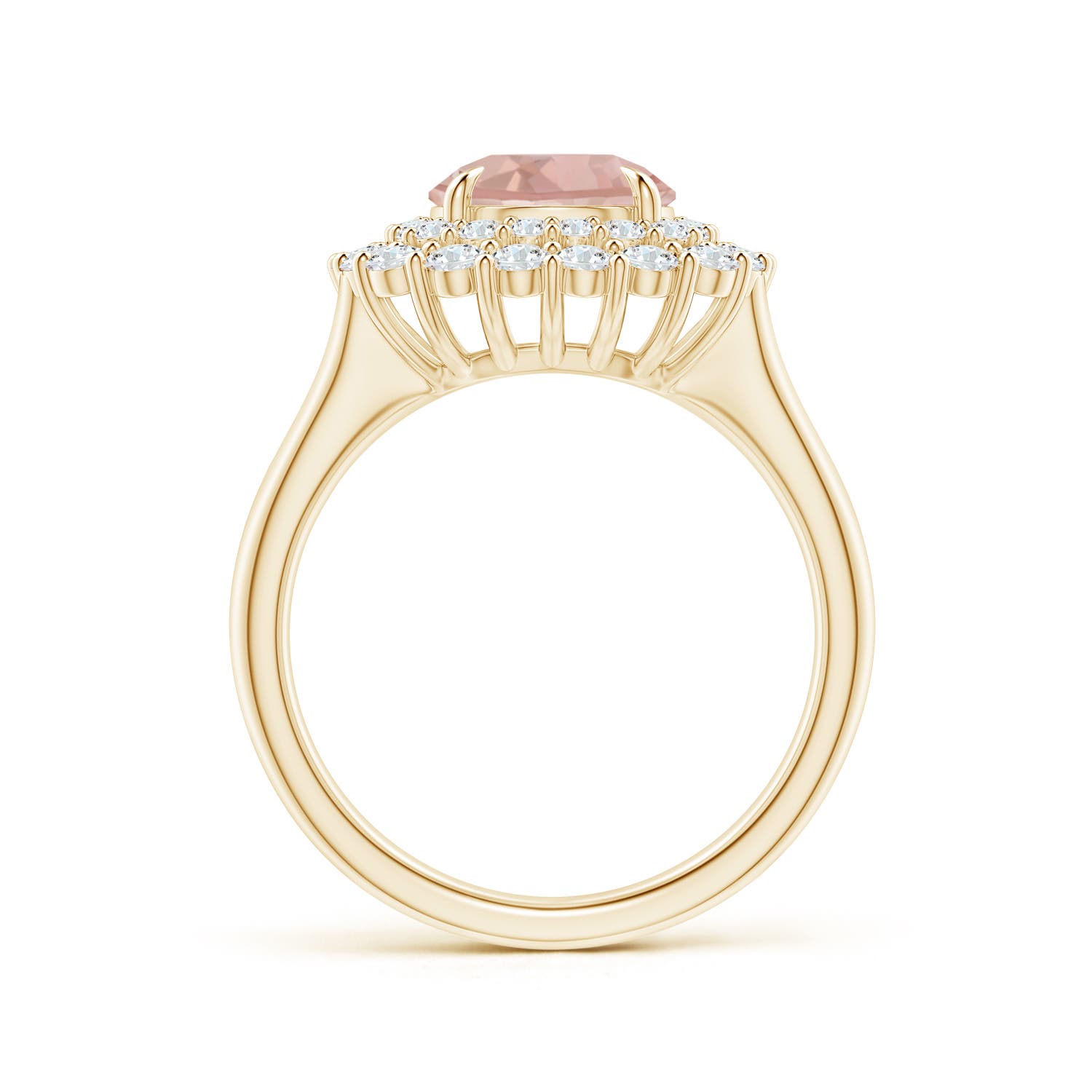 AAA - Morganite / 2.52 CT / 14 KT Yellow Gold