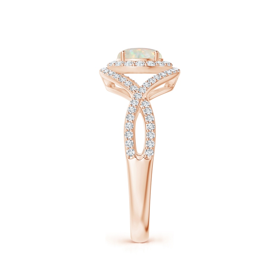 6mm AAA Opal Crossover Shank Cocktail Ring with Halo in Rose Gold side 2