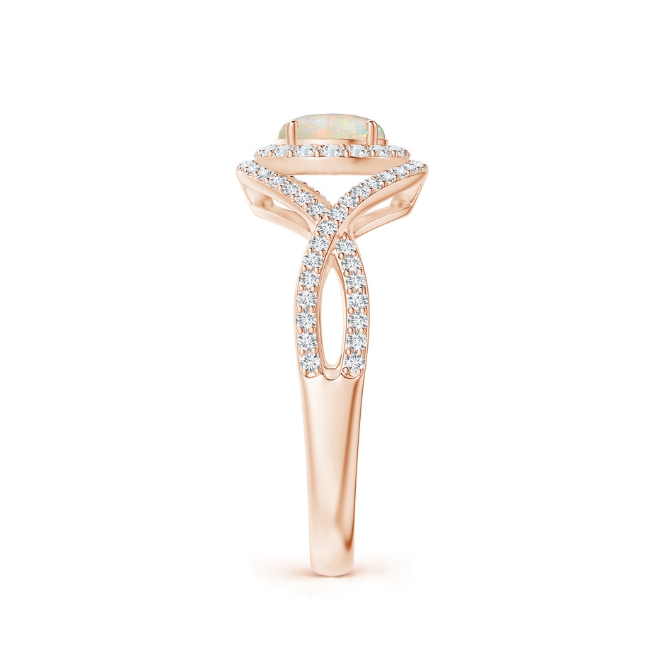 6mm AAAA Opal Crossover Shank Cocktail Ring with Halo in Rose Gold side 2
