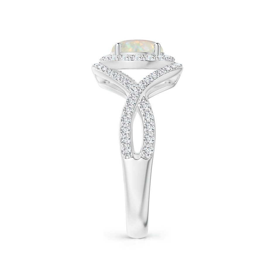 7mm AAA Opal Crossover Shank Cocktail Ring with Halo in White Gold side 2