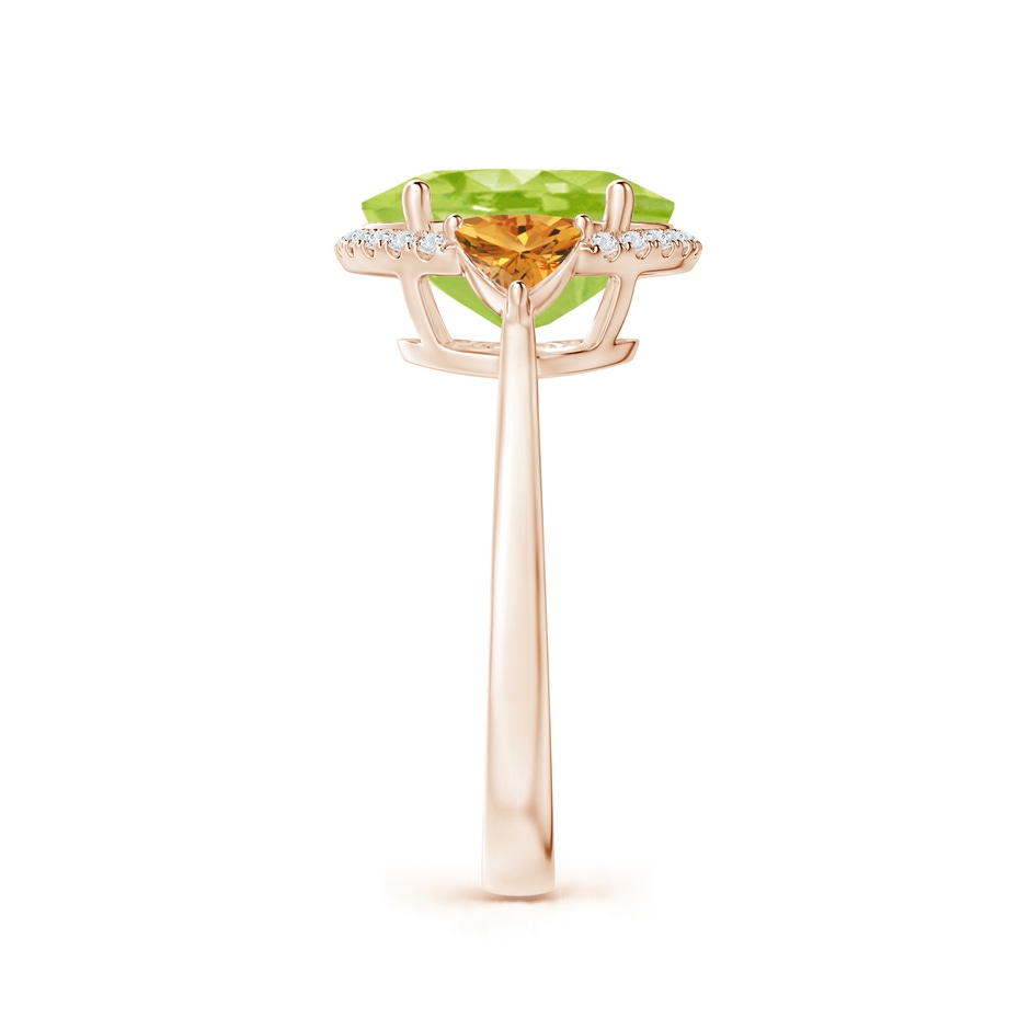 11x9mm AA Oval Peridot & Trillion Citrine Cocktail Ring in Rose Gold side 299