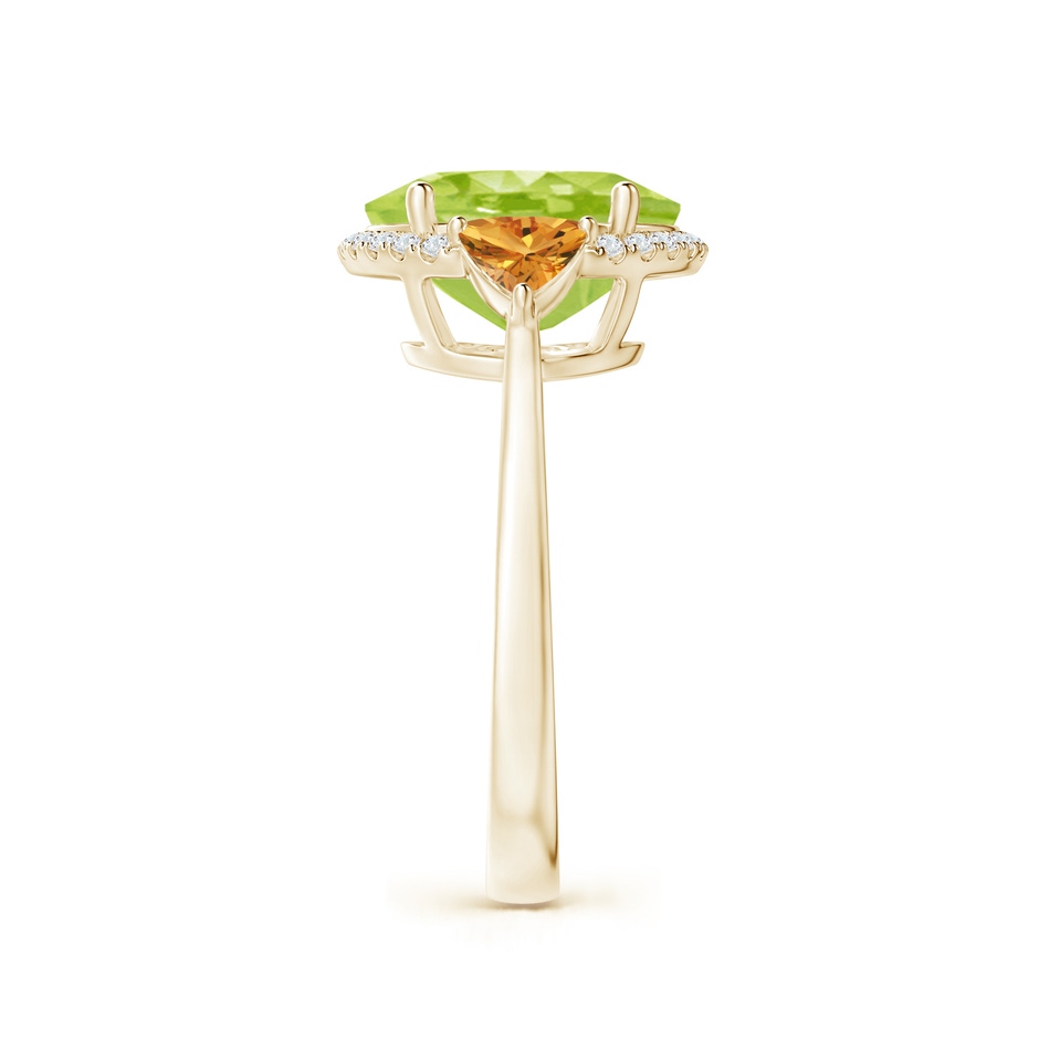 11x9mm AA Oval Peridot & Trillion Citrine Cocktail Ring in Yellow Gold side 299