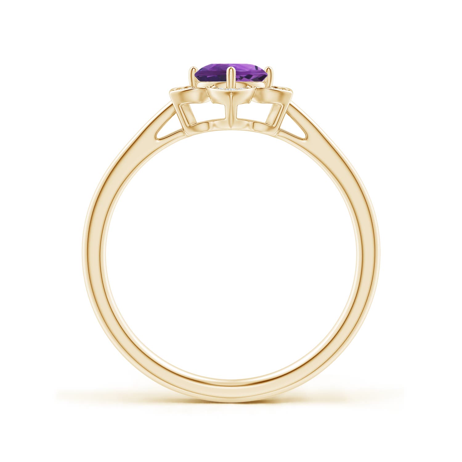 AAA - Amethyst / 0.51 CT / 14 KT Yellow Gold