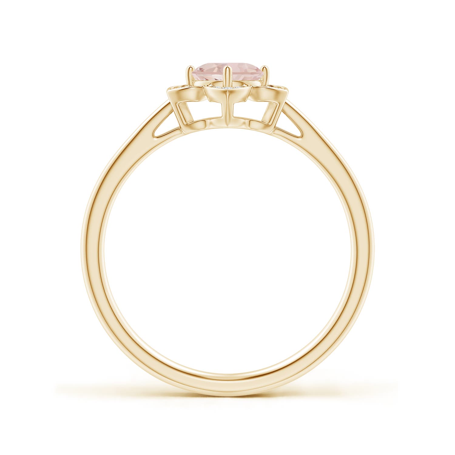 AA - Morganite / 0.48 CT / 14 KT Yellow Gold