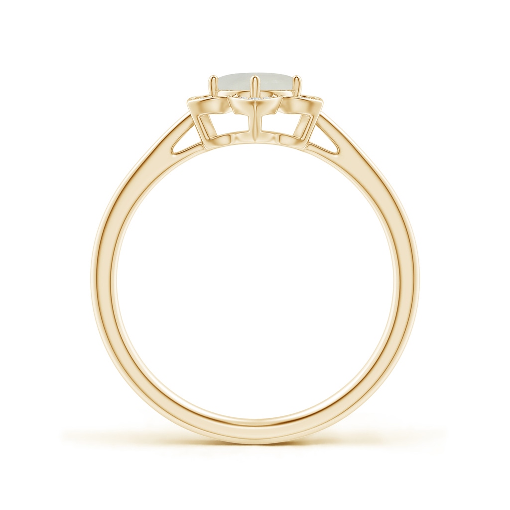 5mm AAA Round Moonstone Cocktail Ring with Floral Diamond Halo in Yellow Gold Side 1