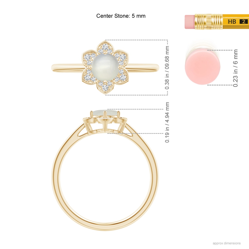 5mm AAA Round Moonstone Cocktail Ring with Floral Diamond Halo in Yellow Gold Ruler