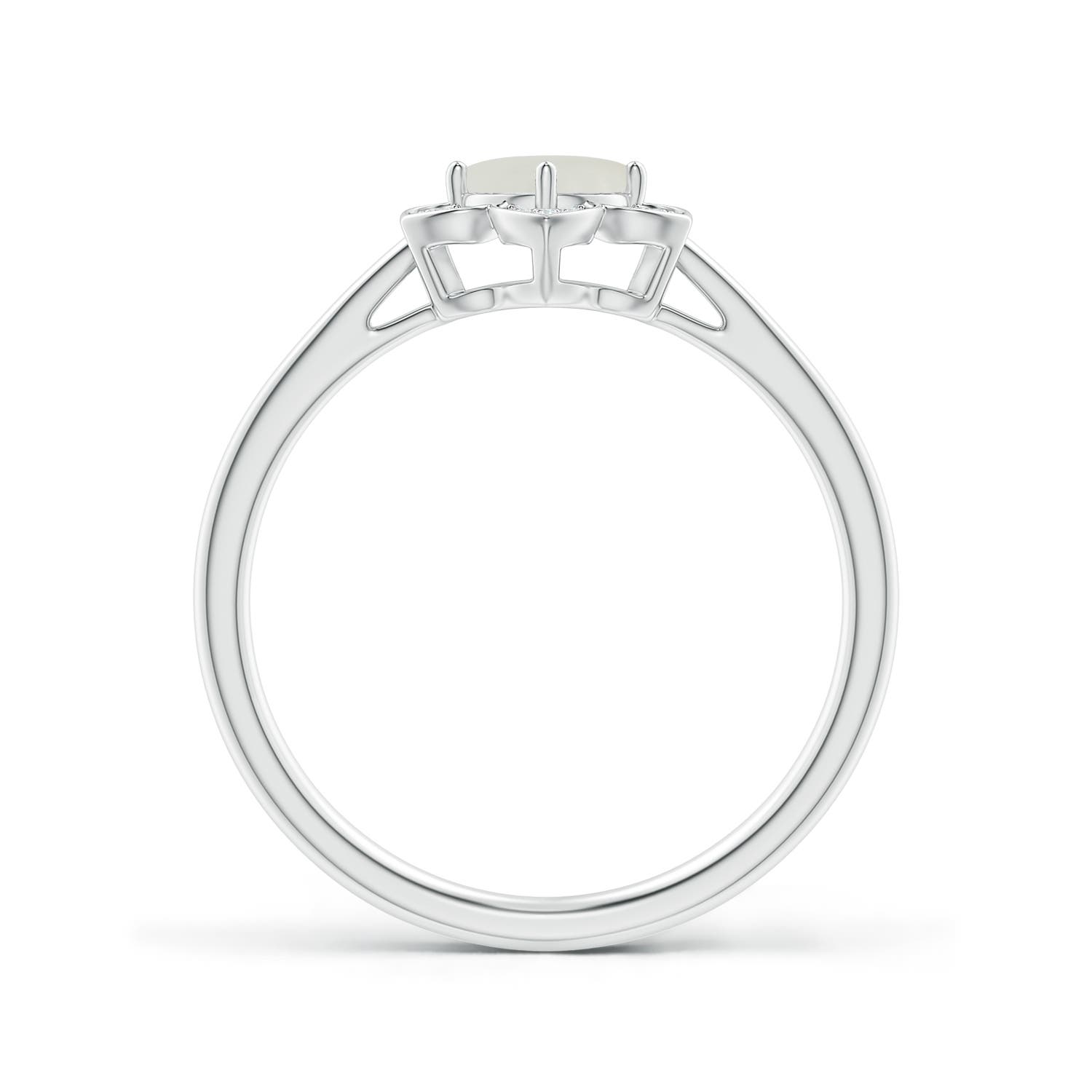 AAAA - Moonstone / 0.51 CT / 14 KT White Gold