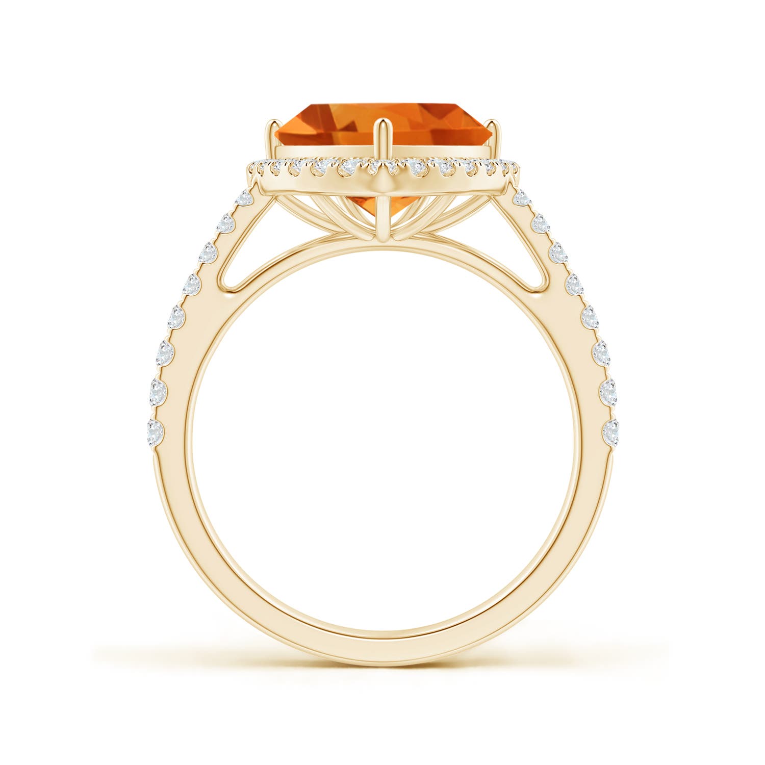 AAA - Citrine / 3.08 CT / 14 KT Yellow Gold