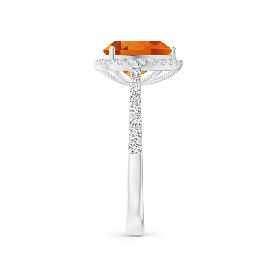 9mm AAA Trillion Citrine Cocktail Ring with Diamond Halo in White Gold side 2