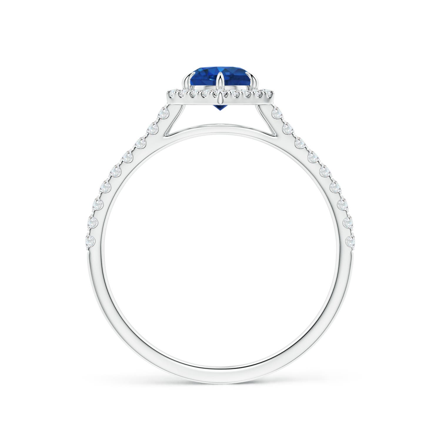 AAA - Blue Sapphire / 0.85 CT / 14 KT White Gold