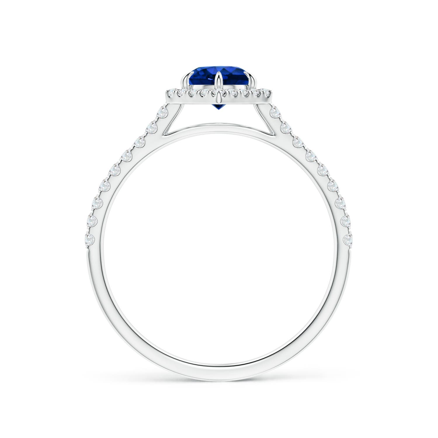 AAAA - Blue Sapphire / 0.85 CT / 14 KT White Gold