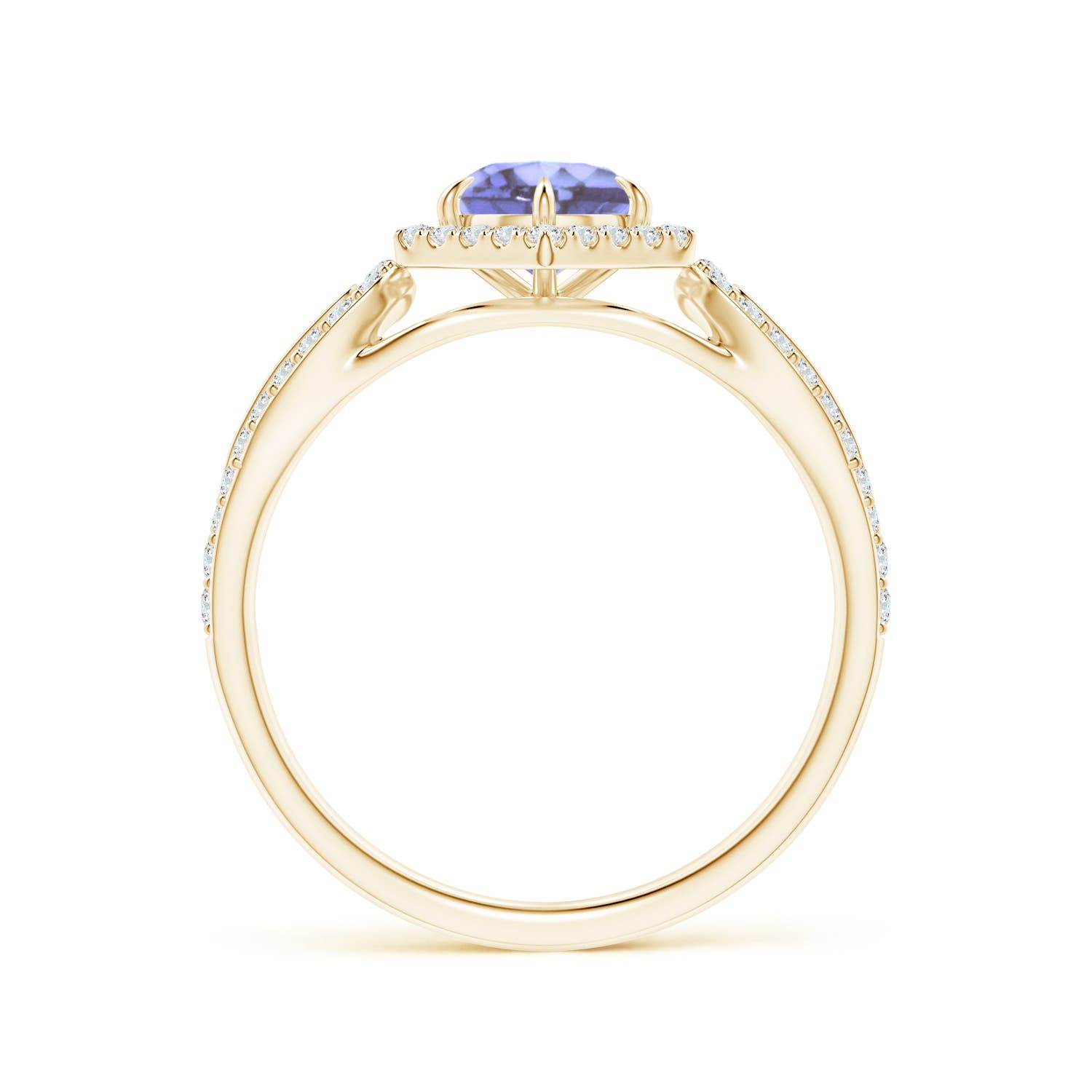 AA - Tanzanite / 0.82 CT / 14 KT Yellow Gold