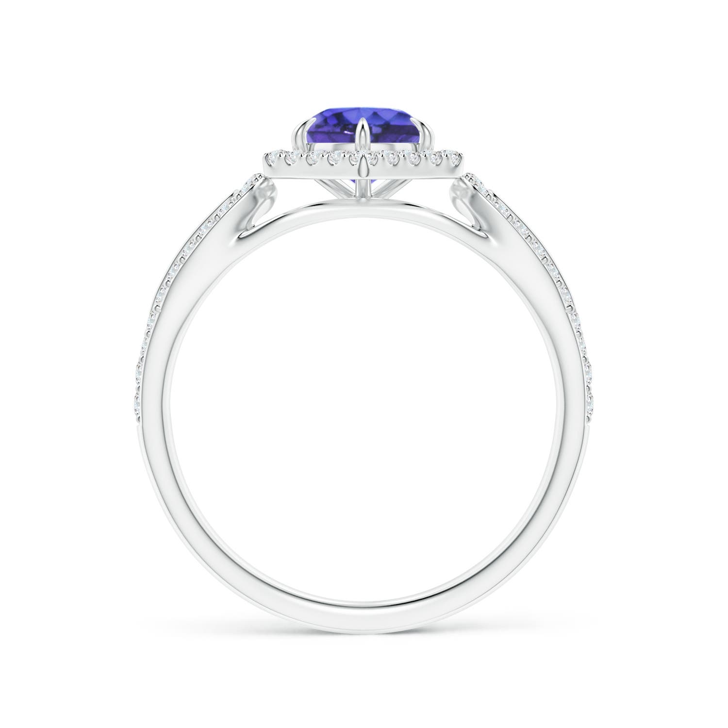 AAA - Tanzanite / 0.82 CT / 14 KT White Gold