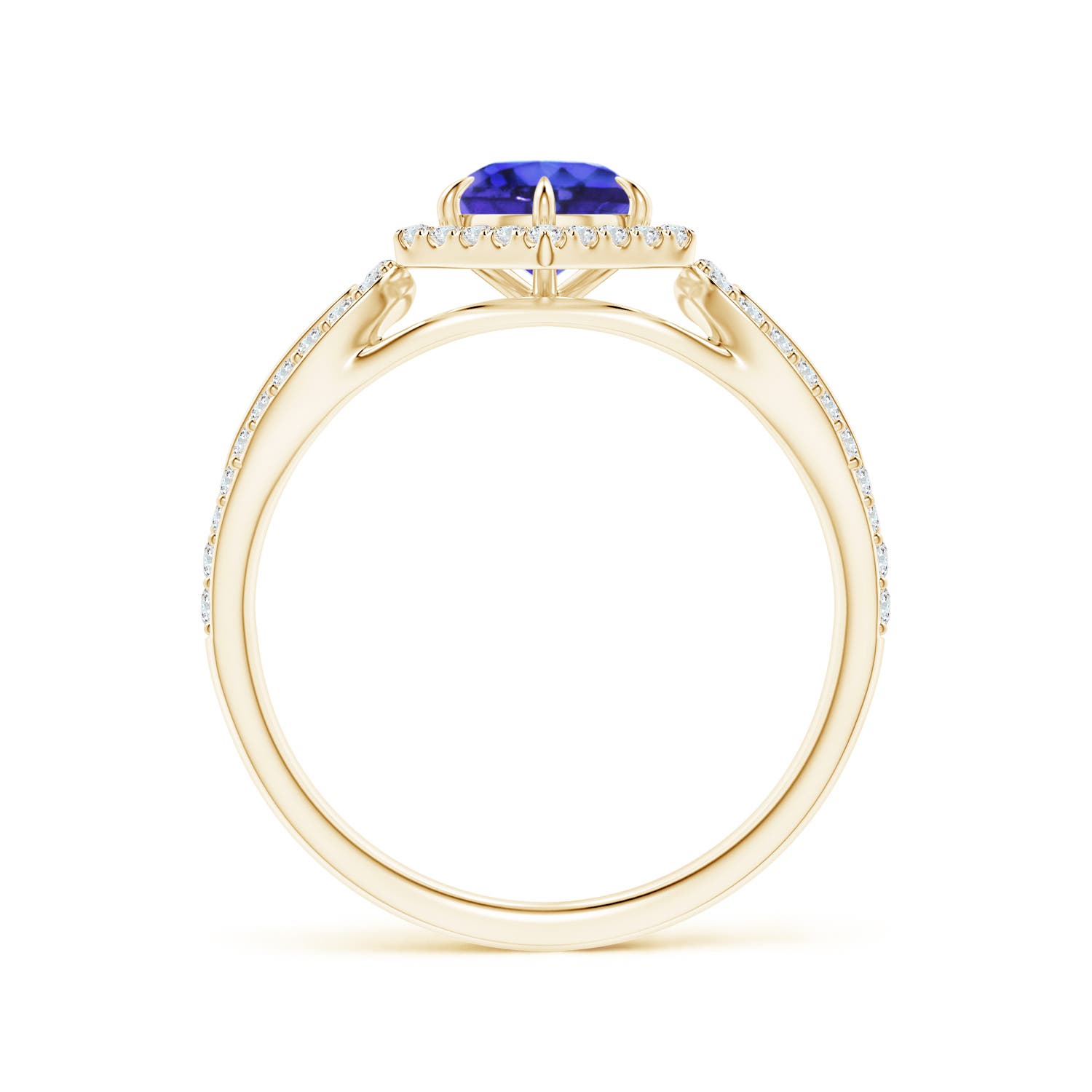 AAAA - Tanzanite / 0.82 CT / 14 KT Yellow Gold