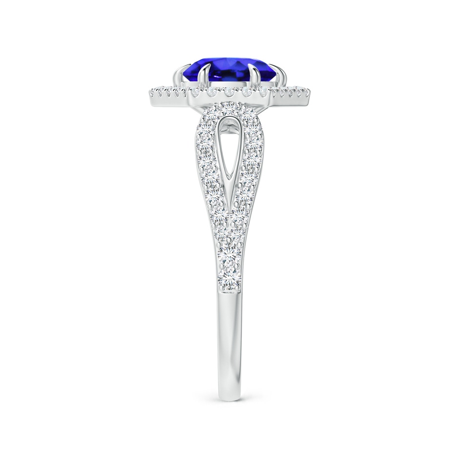 6mm AAA Tanzanite Split Shank Ring with Diamond Hexagon Halo in White Gold side-2