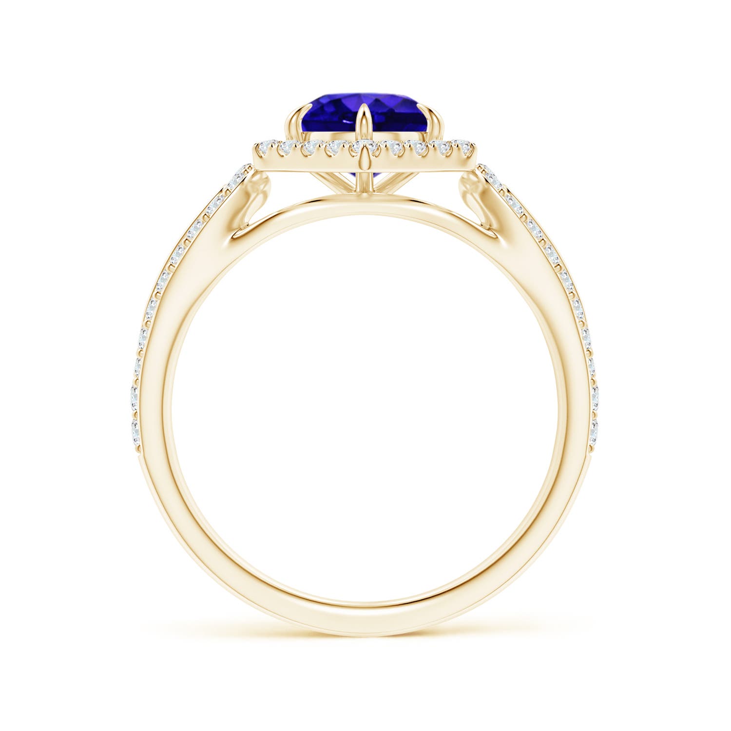 AAAA - Tanzanite / 1.36 CT / 14 KT Yellow Gold