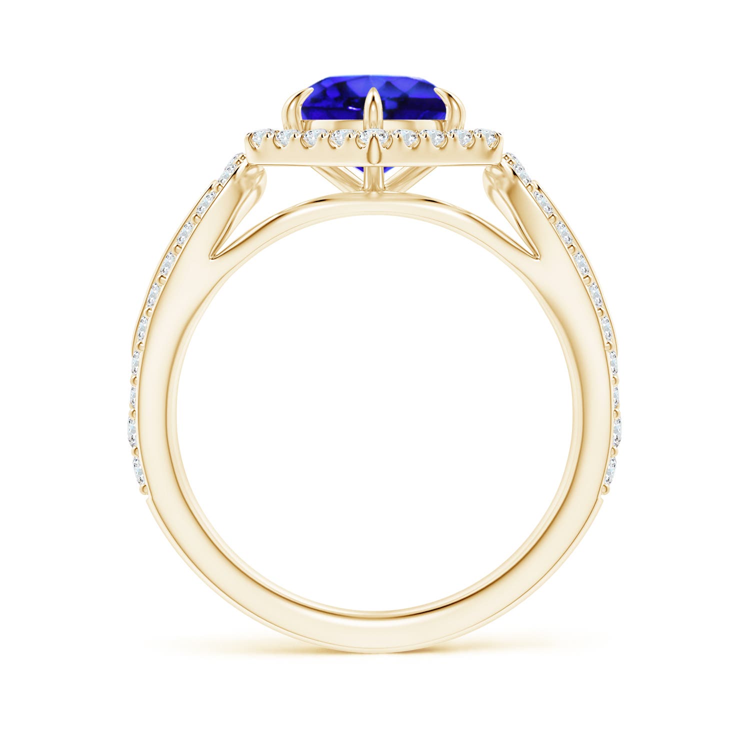 AAA - Tanzanite / 2.05 CT / 14 KT Yellow Gold