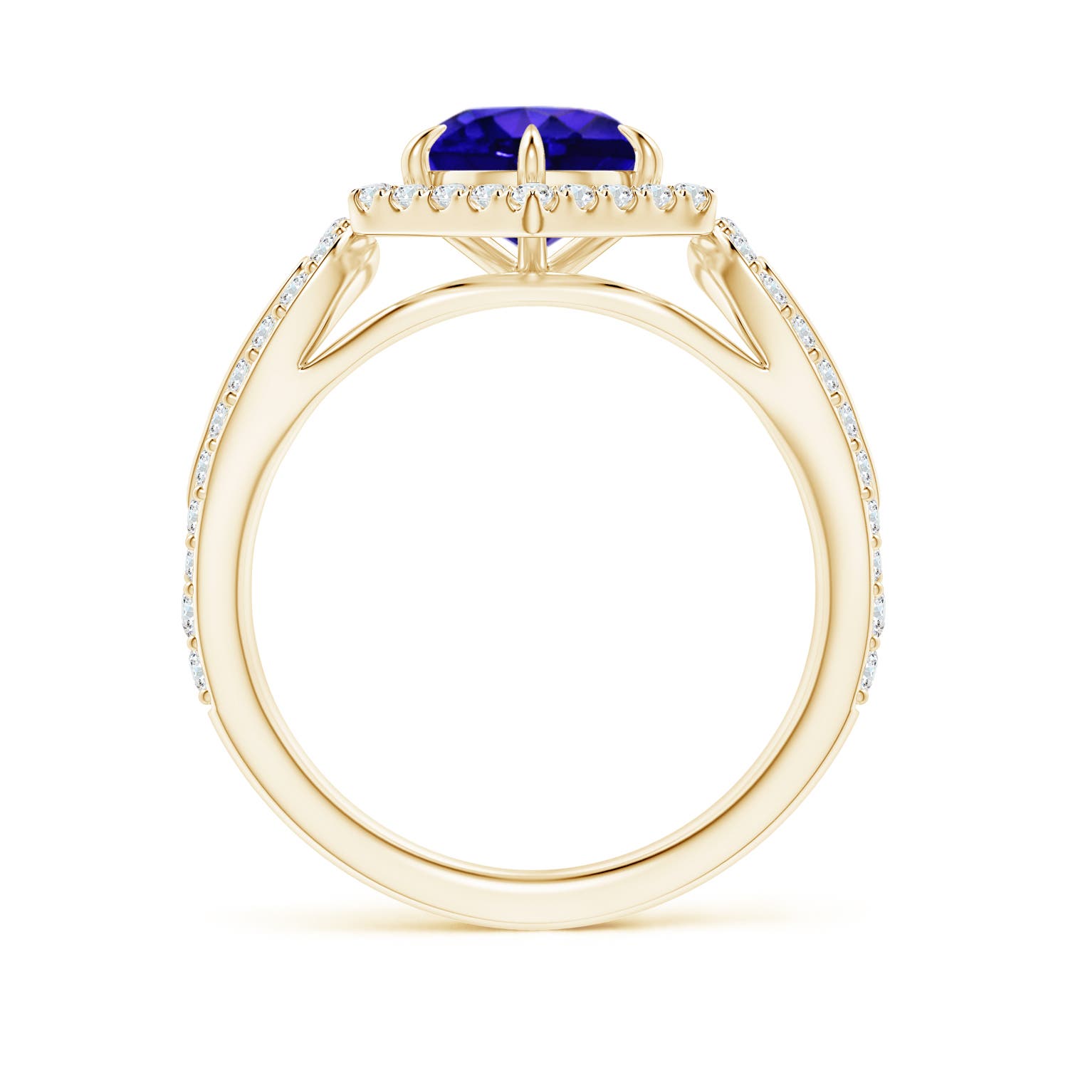 AAAA - Tanzanite / 2.05 CT / 14 KT Yellow Gold