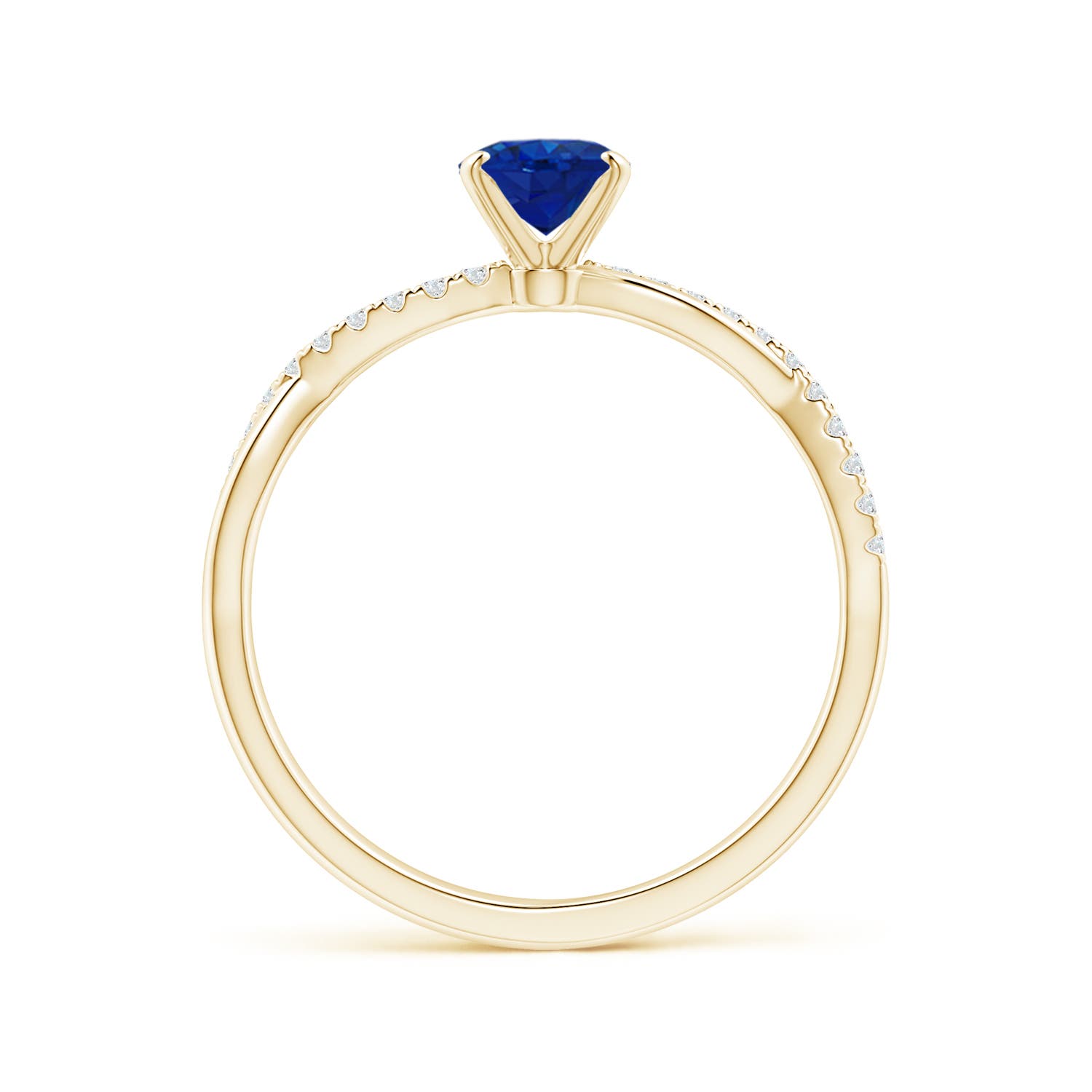 AAA - Blue Sapphire / 0.96 CT / 14 KT Yellow Gold