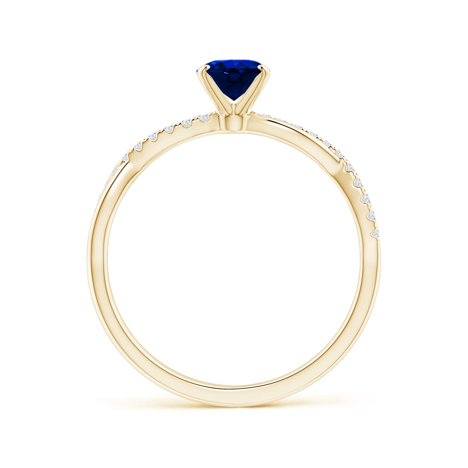 AAAA - Blue Sapphire / 0.96 CT / 14 KT Yellow Gold