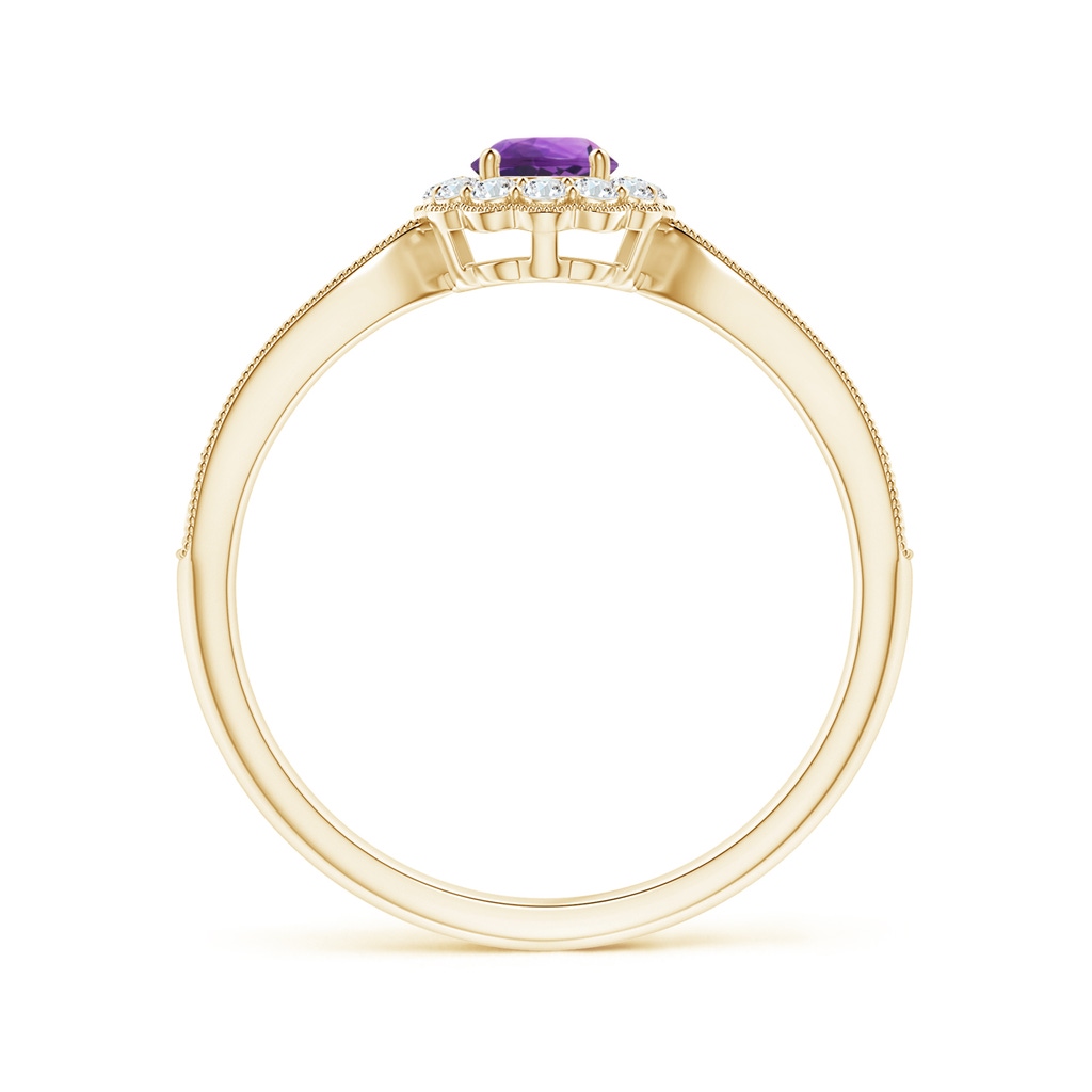 4mm AAA Vintage Inspired Amethyst Milgrain Ring with Diamond Halo in Yellow Gold Side-1