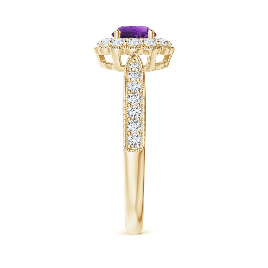 5mm AAAA Vintage Inspired Amethyst Milgrain Ring with Diamond Halo in 18K Yellow Gold side 299
