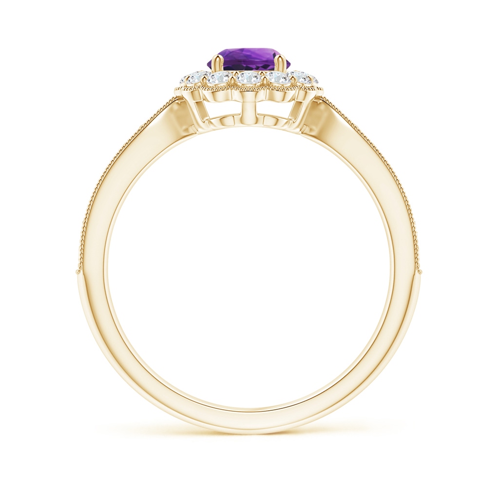 5mm AAAA Vintage Inspired Amethyst Milgrain Ring with Diamond Halo in Yellow Gold - side 199