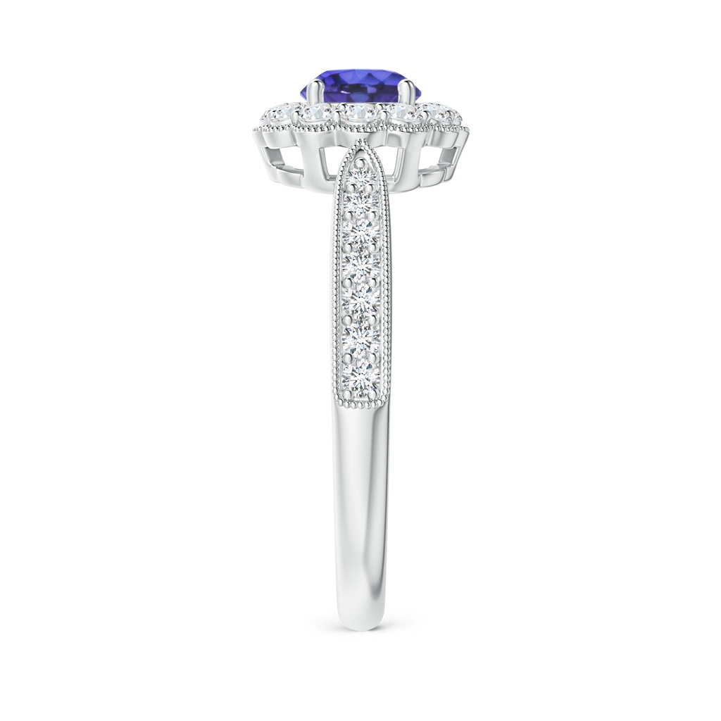 5mm AAA Vintage Inspired Tanzanite Milgrain Ring with Diamond Halo in White Gold Side-2