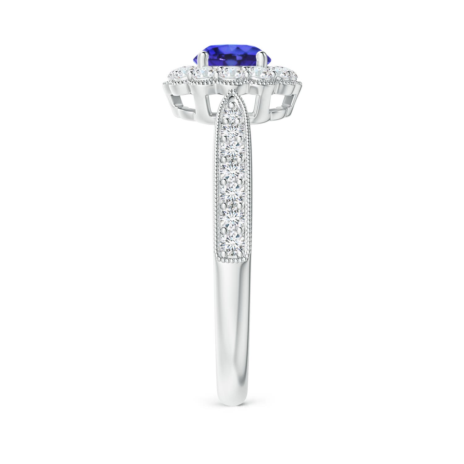 AAAA - Tanzanite / 0.87 CT / 14 KT White Gold